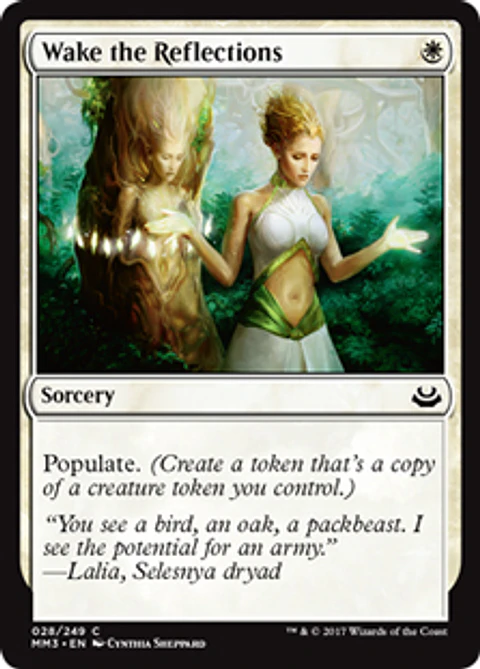 Wake the Reflections - MM17 - C 