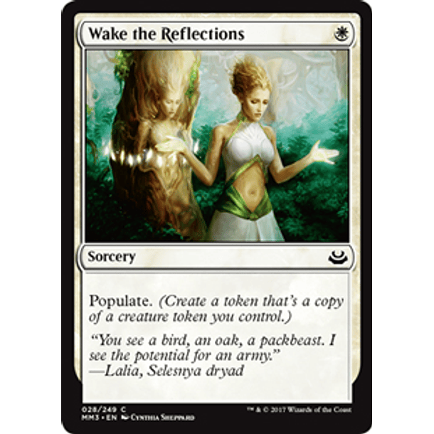 Wake the Reflections - MM17 - C 