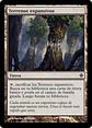 Evolving Wilds - ROE - C  - Miniatura 2