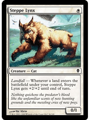 Steppe Lynx - ZDK - C 