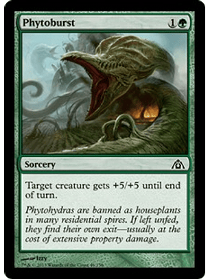 Phytoburst - DMZ - C 