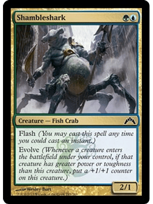 Shambleshark - GTC - C 