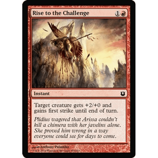 Rise to the Challenge - BOG - C 