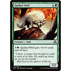 Quilled Wolf - SOI - C  1