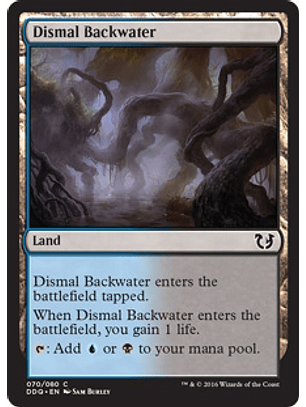 Dismal Backwater - DDQ - C 