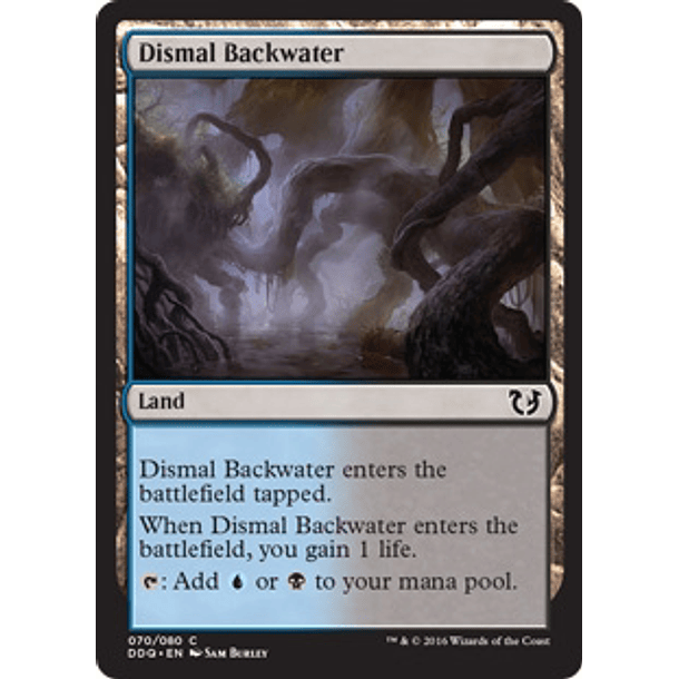 Dismal Backwater - DDQ - C 