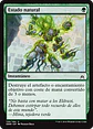 Natural State - OGW - C  - Miniatura 2