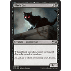 Black Cat - M15 - C  1