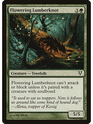 Flowering Lumberknot - ARS - C 