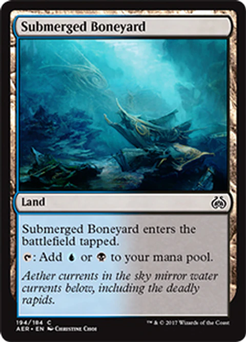 Submerged Boneyard - AER - C 