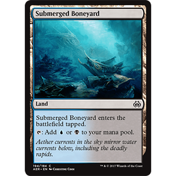Submerged Boneyard - AER - C 