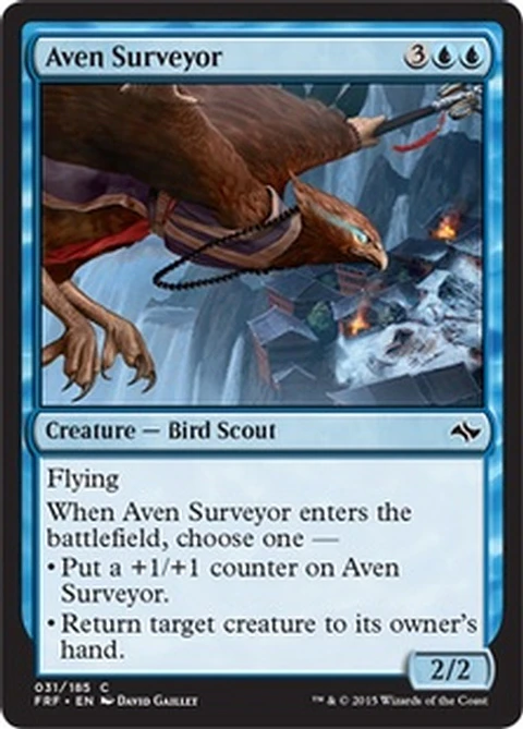 Aven Surveyor - FRF - C 