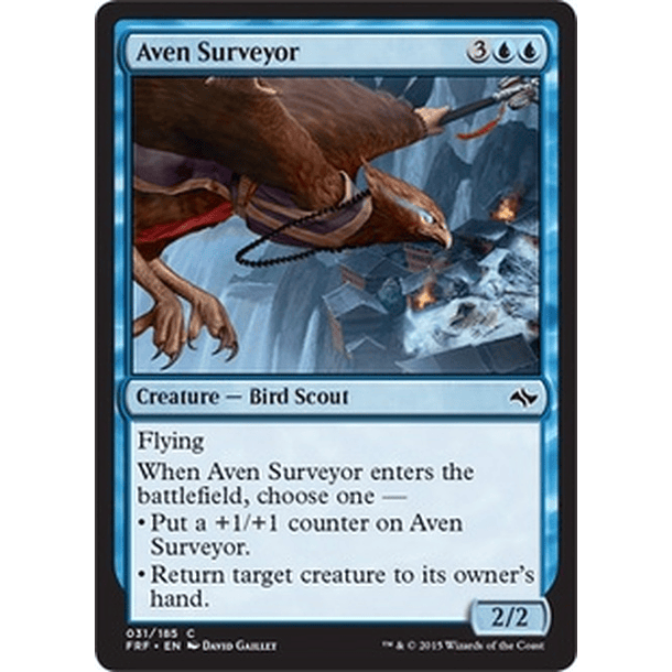 Aven Surveyor - FRF - C 