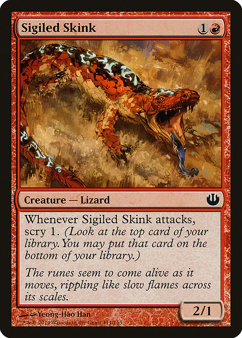 Sigiled Skink - JOU - C 