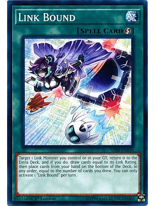 Link Bound - SDSB-EN030 - Common