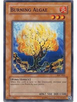 Burning Algae - IOC-062 - Common
