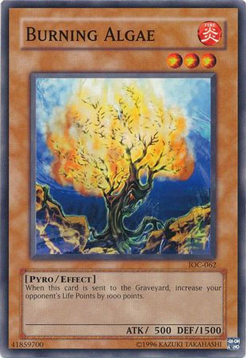 Burning Algae - IOC-062 - Common