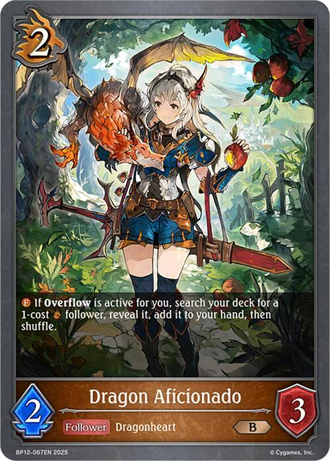 Dragon Aficionado - BP12-067EN - Bronze 