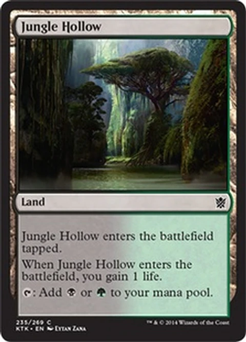 Jungle Hollow - KTK - C 