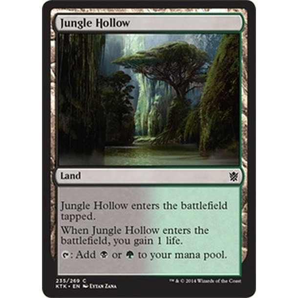 Jungle Hollow - KTK - C 