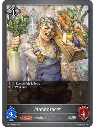 Managrocer - BP13-112EN - Silver