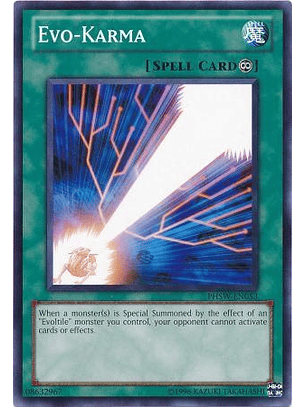 Evo-Karma - PHSW-EN053 - Common