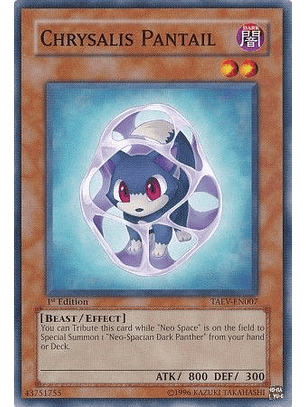 Chrysalis Pantail - TAEV-EN007 - Common