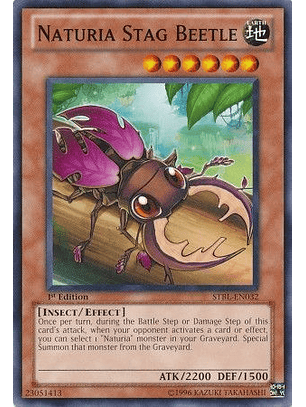 Naturia Stag Beetle - STBL-EN032 - Common