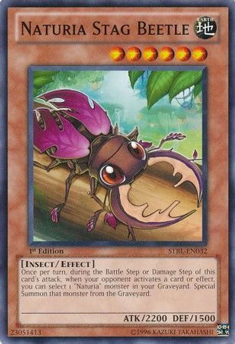 Naturia Stag Beetle - STBL-EN032 - Common