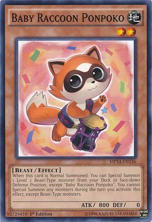 Baby Raccoon Ponpoko - MP14-EN136 - Common 1