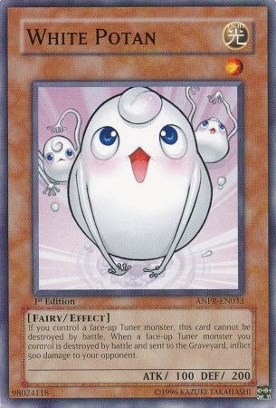 White Potan - ANPR-EN033 - Common 1