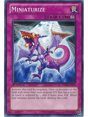 Miniaturize - BP02-EN195 - Common