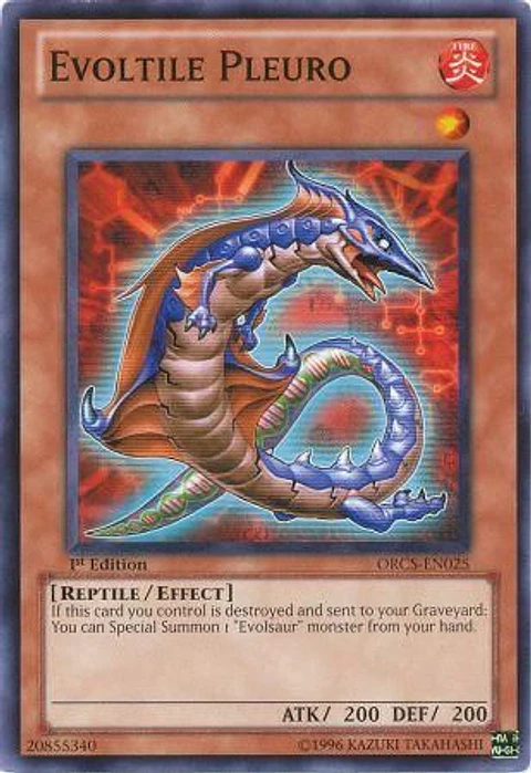 Evoltile Pleuro - ORCS-EN025 - Common