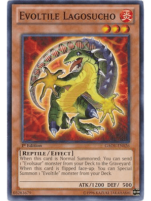 Evoltile Lagosucho - GAOV-EN026 - Common