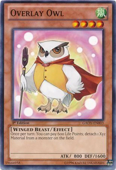 Overlay Owl - GAOV-EN003 - Common