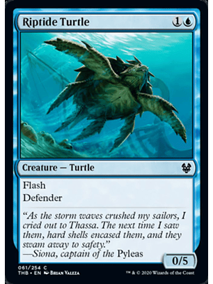 Riptide Turtle - THB - C 