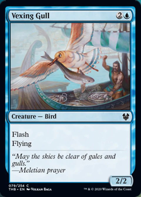 Vexing Gull - THB - C 