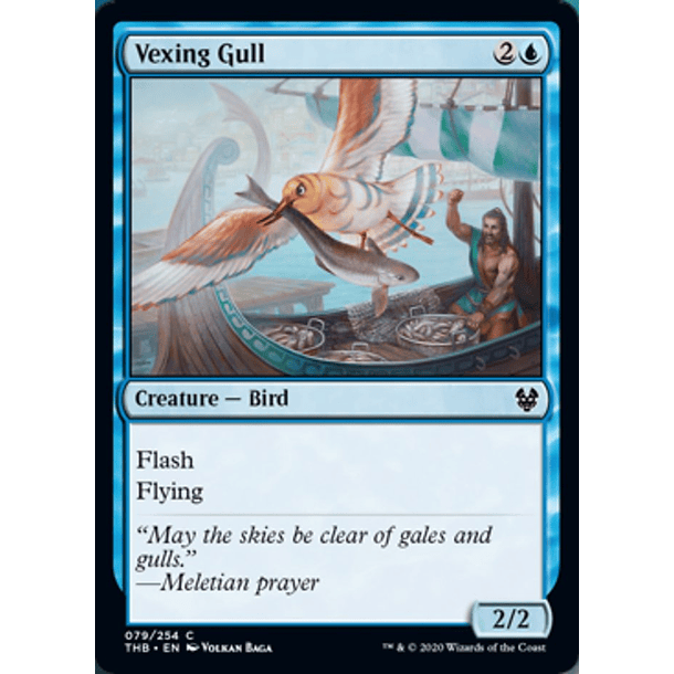 Vexing Gull - THB - C 