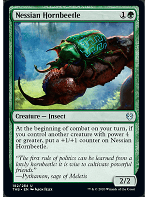 Nessian Hornbeetle - THB - U