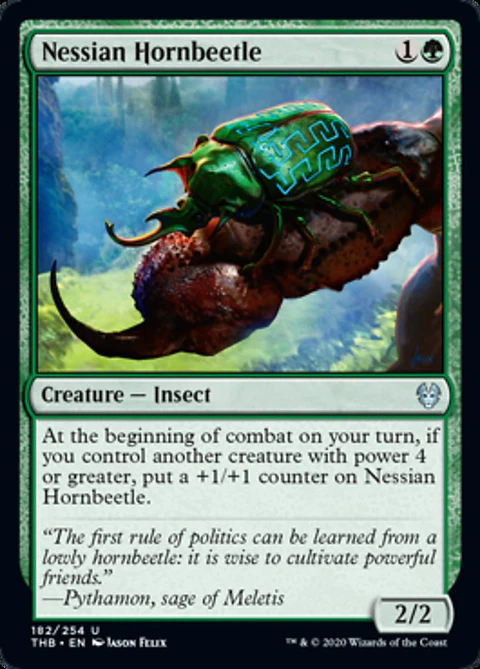 Nessian Hornbeetle - THB - U