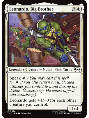 Leonardo, Big Brother - TMT -C