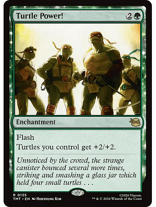 Turtle Power! - TMT - R