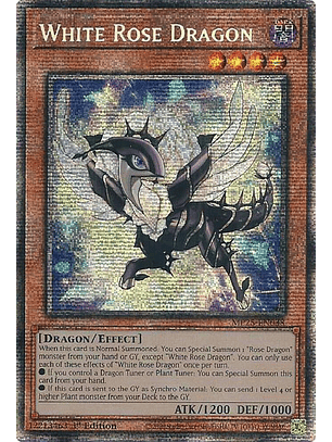 White Rose Dragon - MP25-EN038 - Starlight Rare