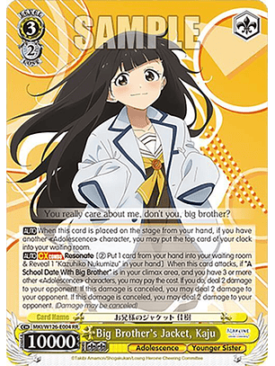 Big Brother's Jacket, Kaju - MKI/W126-E004 RR - Double Rare