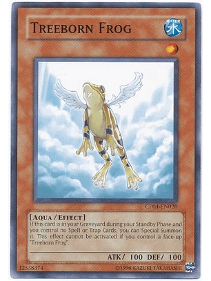 Treeborn Frog - CP04-EN020 - Common