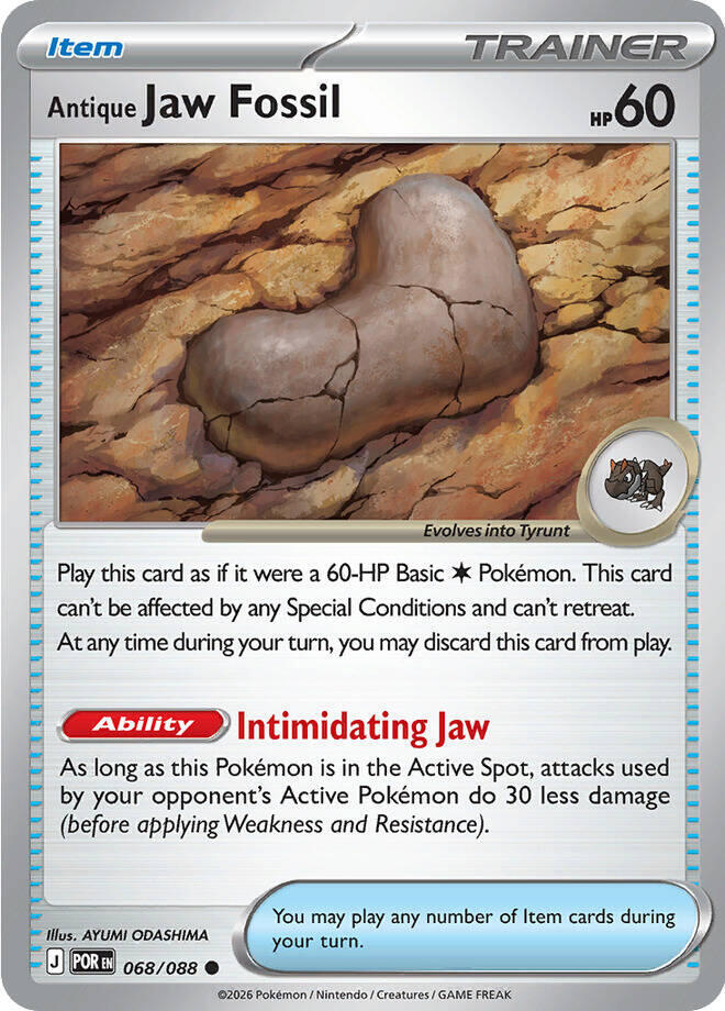 Antique Jaw Fossil - 068/088 - POR 1