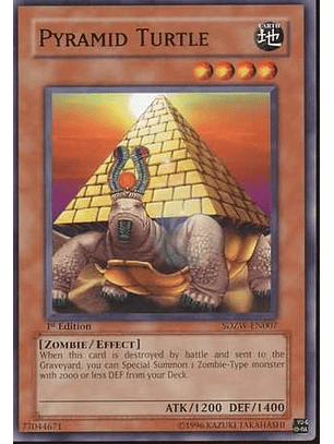 Pyramid Turtle - SDZW-EN007 - Common