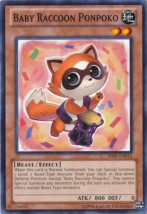 Baby Raccoon Ponpoko - SHSP-EN014 - Common