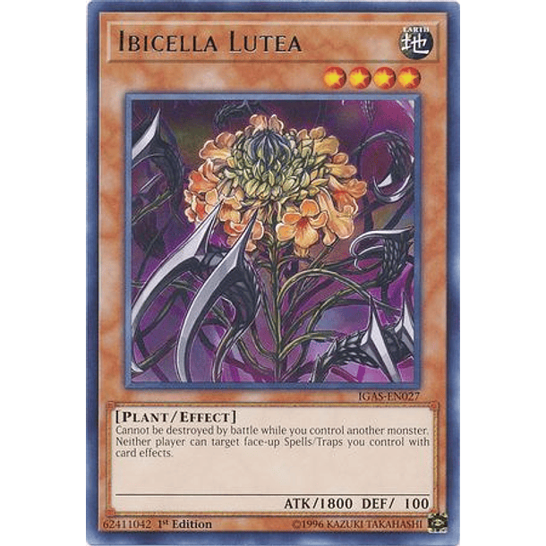 Ibicella Lutea - IGAS-EN027 - Rare