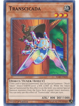 Transcicada - IGAS-EN030 - Common